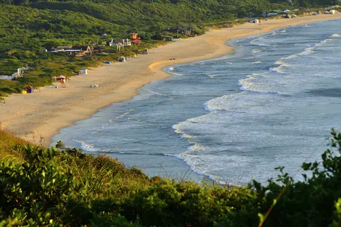 Praia Mole, en Florianópolis, vista desde el morro: una playa larga de arena dorada con olas y vegetación verde en primer plano